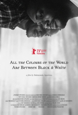All the Colours of the World Are Between Black and White film poster image