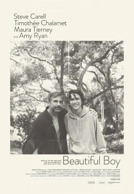 Beautiful Boy film poster image