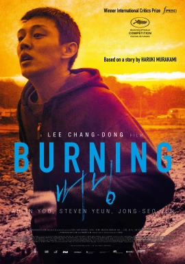 Burning film poster image