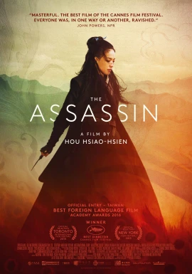 The Assassin film poster image