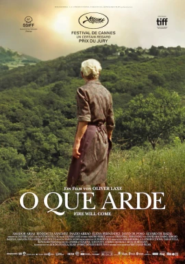 O que arde film poster image