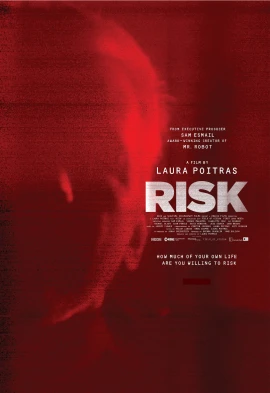 Risk film poster image