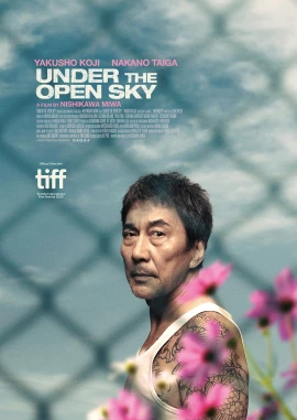 Under the Open Sky film poster image