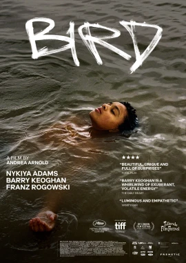 Bird film poster image