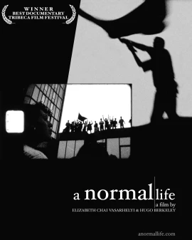 A Normal Life film poster image